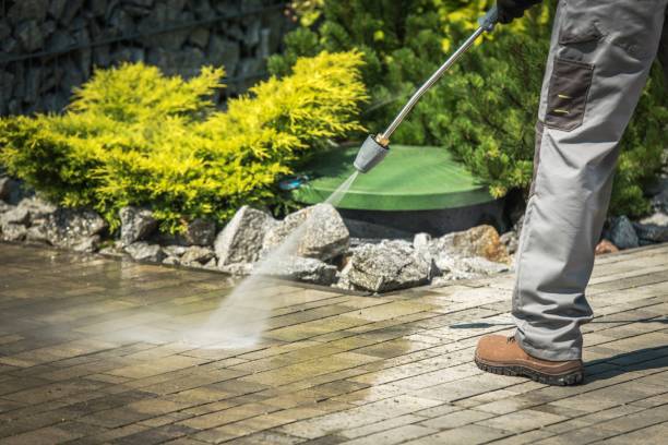 Best Pre-Holiday Cleaning  in Farngton Hills, MI
