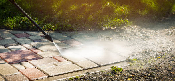 Best Dumpster Area Cleaning  in Farngton Hills, MI
